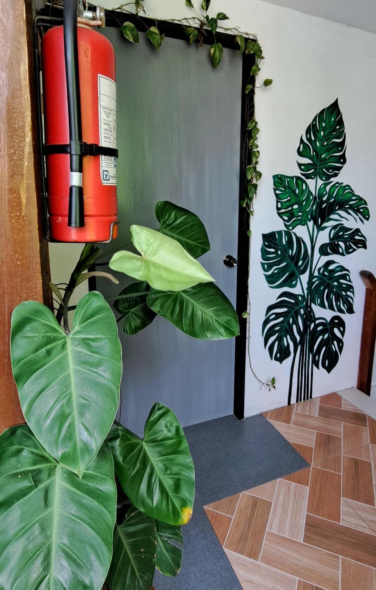 Bougainvillea Guesthouse San Juan  Luaran gambar